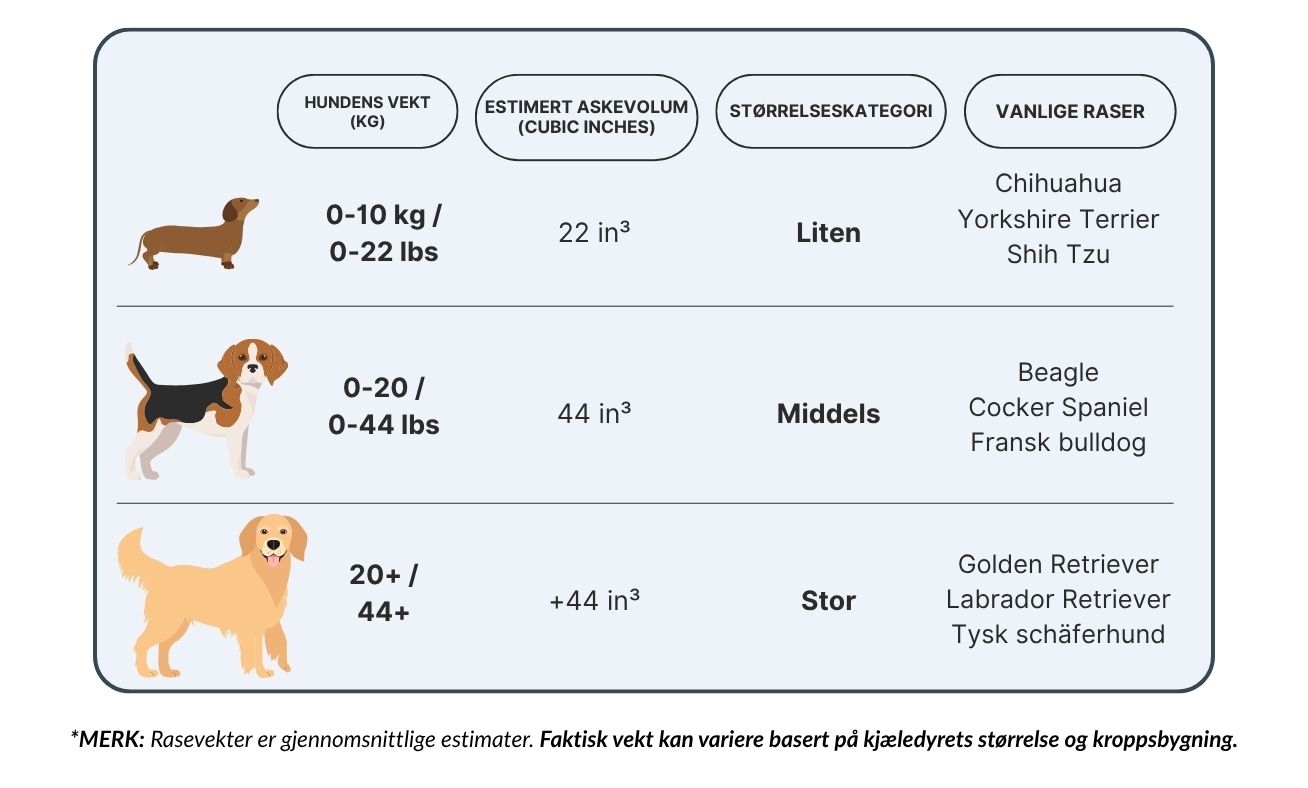 Diagram over hundeurnestørrelser som viser små, mellomstore og store kategorier basert på vekt, askevolum og vanlige hunderaser.